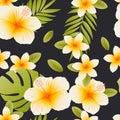 Plumeria and hibiscus. Tropical flowers and leaves on a black background. Seamless cute pattern with exotic plants. Royalty Free Stock Photo