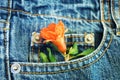 A flower in the pocket Royalty Free Stock Photo