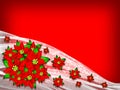 Flower Poinsettia Christmas Background