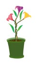 Colorful Flowers in pot vector illustration