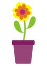 Flower in a pot Royalty Free Stock Photo