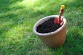 Flower pot filled with compost soil