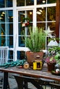 flower in a pot, antique clock and lantern. a wooden table in the courtyard. Royalty Free Stock Photo