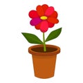 Bright cartoon flower in the pot isolated Royalty Free Stock Photo