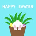 Flower pot with bunny rabbit bottom foot leg paw print. Happy Easter. Grass and eggs. Cute cartoon kawaii funny baby character. Royalty Free Stock Photo