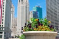 Flower Pot with Colorful Flowers along the Chicago River with Skyscrapers Royalty Free Stock Photo