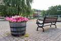 Flower Pot and an Empty Bench on Cold Spring Pier in Cold Spring New York Royalty Free Stock Photo