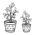 Flower pot. Coloring book vector illustration