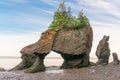 Rock Formations in Hopewell Rocks Park, New Brunswick