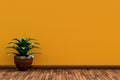 Flower Pot in Front of Yellow Wall Royalty Free Stock Photo