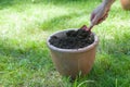 Flower pot filled with compost soil