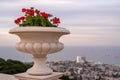 Flower pot with geranium plant at the Bahai Garden entrance above the Bahai Temple in Haifa