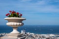 Flower pot with geranium plant at the Bahai Garden entrance above the Bahai Temple in Haifa