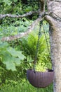 Flower pot hanging on tree in the garden Royalty Free Stock Photo