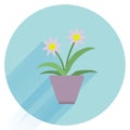 Flower pot. Houseplant icon. Flat design style modern illustration. Isolated on stylish color background. long shadow. Royalty Free Stock Photo