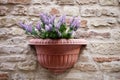Flower pot with lavender plant on antique brick wall