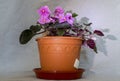 Flower pot with a light on the right side on a gray textile background