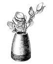 Flower in a pot line drawing. Tree branch in a vase vector hand drawn illustration. Nature spring sketch of a plant Royalty Free Stock Photo