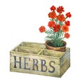 Flower pot with marigolds in an old wooden crate garden. Royalty Free Stock Photo