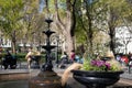 Flower Pot next to the Fountain at Madison Square Park in New York City during Spring