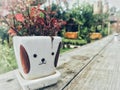 Flower pot on old long table