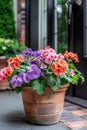 Flower pot or planter containing geraniums, calibrachoas Royalty Free Stock Photo