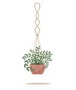 Flower in a pot pots macrame, modern Scandinavian style. Hanging plant, interior decor. Vector illustration