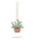 Flower in a pot pots macrame, modern Scandinavian style. Hanging plant, interior decor. Vector illustration