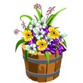 Flower pot in the shape of a old wooden bucket with colorful flowers isolated on white background. Vector cartoon close Royalty Free Stock Photo
