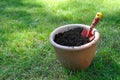 Flower pot filled with compost soil