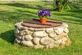 A flower pot sitting on top of a stone fire pit in the grass Royalty Free Stock Photo