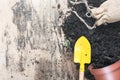 Flower pot with soil and a gardening spade