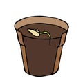 Flower Pot with Soil. Seed, Sprout and Root. Flowerpot for Sprouting Plant. Seedling. Phases of Growth of a Plant. Gardening Hobby