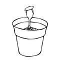 Flower Pot with Soil. Seed, Sprout and Root. Flowerpot for Sprouting Plant. Seedling. Phases of Growth of a Plant. Gardening Hobby