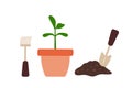 Flower pot with sprout. Shovel in the ground and rake. Concept of flower transplantation, seedlings Royalty Free Stock Photo