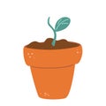 Flower pot with sprout. Simple plant with green leaves in brown pot. Green sprouts growing out from soil. The concept of growth