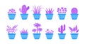 Flower pot vector icon, indoor plant, cartoon house decoration interior, purple and blue flowerpot collection. Modern foliage Royalty Free Stock Photo