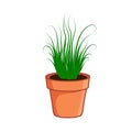 Flower pot vector illustartion