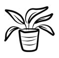 Flower in a pot.Vector picture drawn by hand from a set about home life and comfort. There are many household items and furniture. Royalty Free Stock Photo