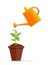 A flower in a pot is watered from a watering can