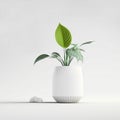 Flower in a pot on a white background. Flower for the interior. Generative AI. copy space