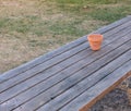 Flower pot on wooden table in garden. Empty clay pot on bench. Home yard details.