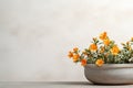 Flower pot with yellow pansy flowersle background. Copy space