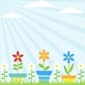 Flower Pots Background