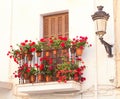 Flower Pots On The Balcony Of House
