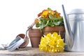 Flower pots and bouquet of daffodils with garden accessories