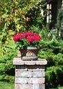 Flower pots on stand