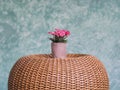 Flower pots Royalty Free Stock Photo