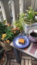 Flower pots, coffee and cake on the balcony in summerr