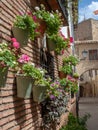 Flower pots with colorful flowers hanging from a brick wall in a Spanish village Royalty Free Stock Photo